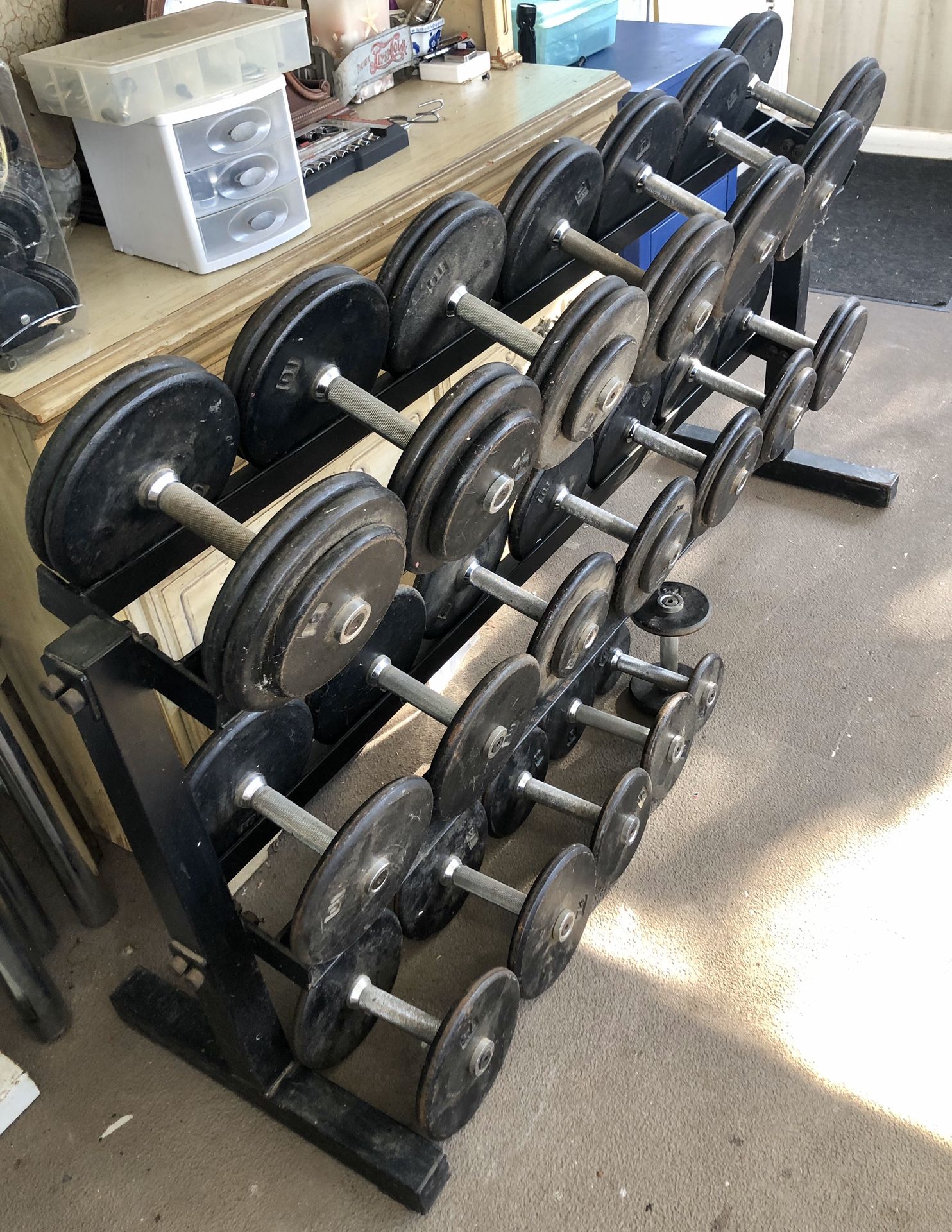 Commercial Dumbbell Set with sturdy rack