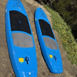 Lifetime 11’ Amped Stand Up Paddle Boards