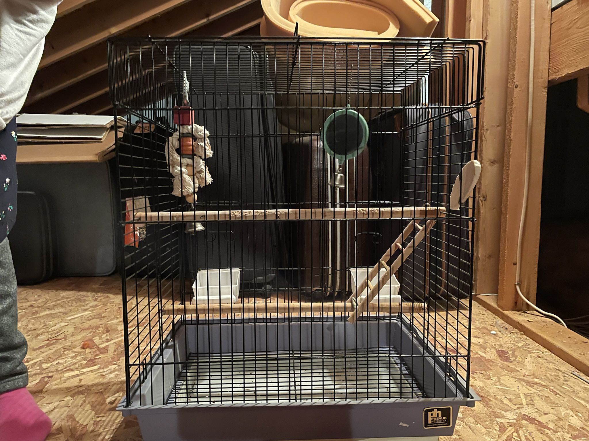 Bird Cage