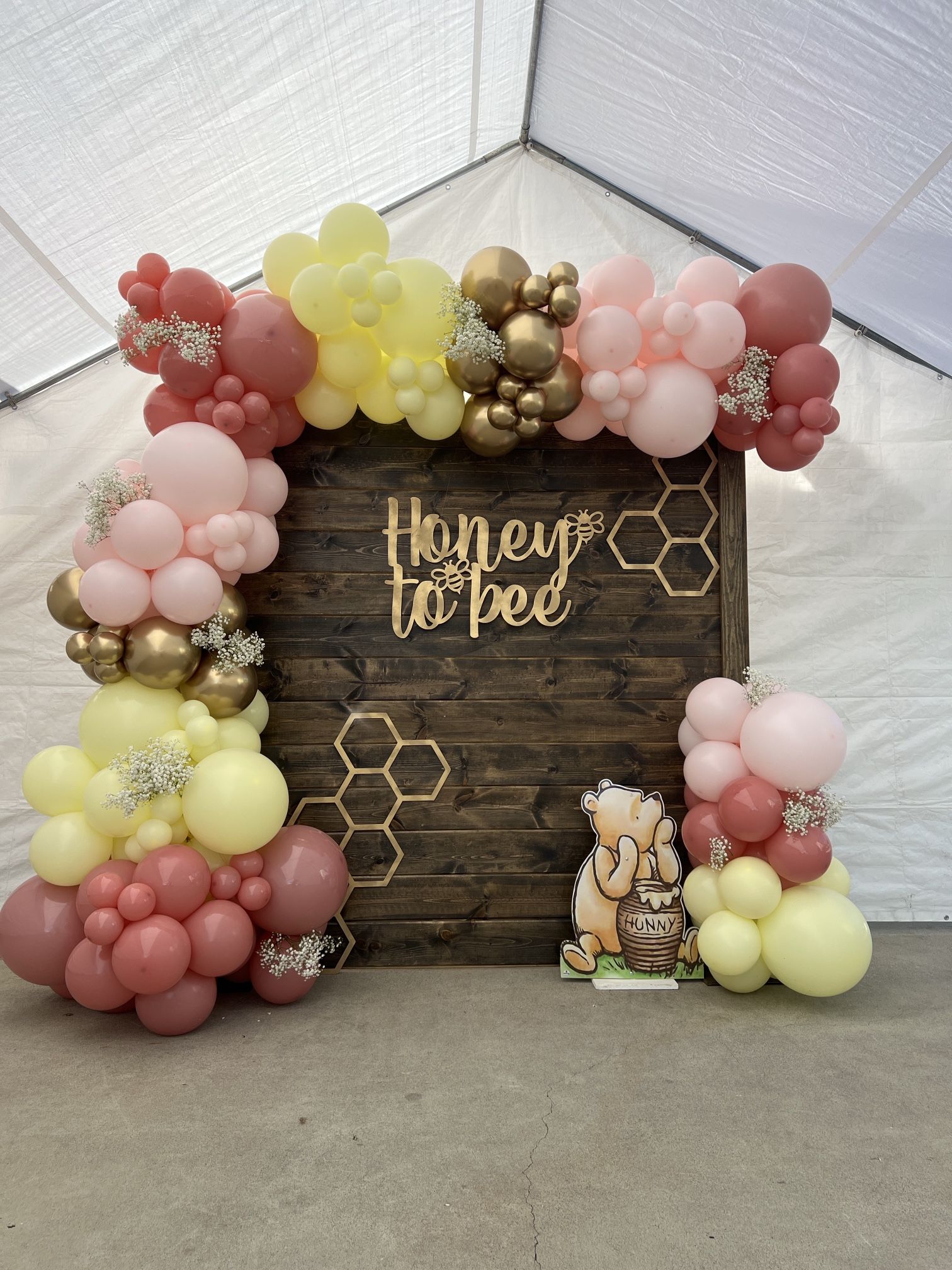 Backdrop Balloons decoration