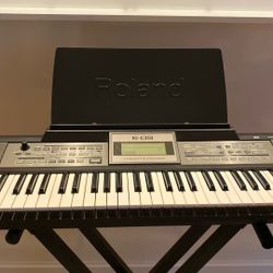 E-09 Roland Piano Interactive Arranger 