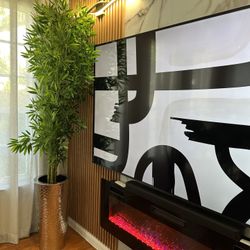 Planta Decorativa / New / 