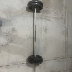 Standard Barbell And Weights 