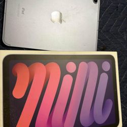 iPad Mini 256g PURPLE 