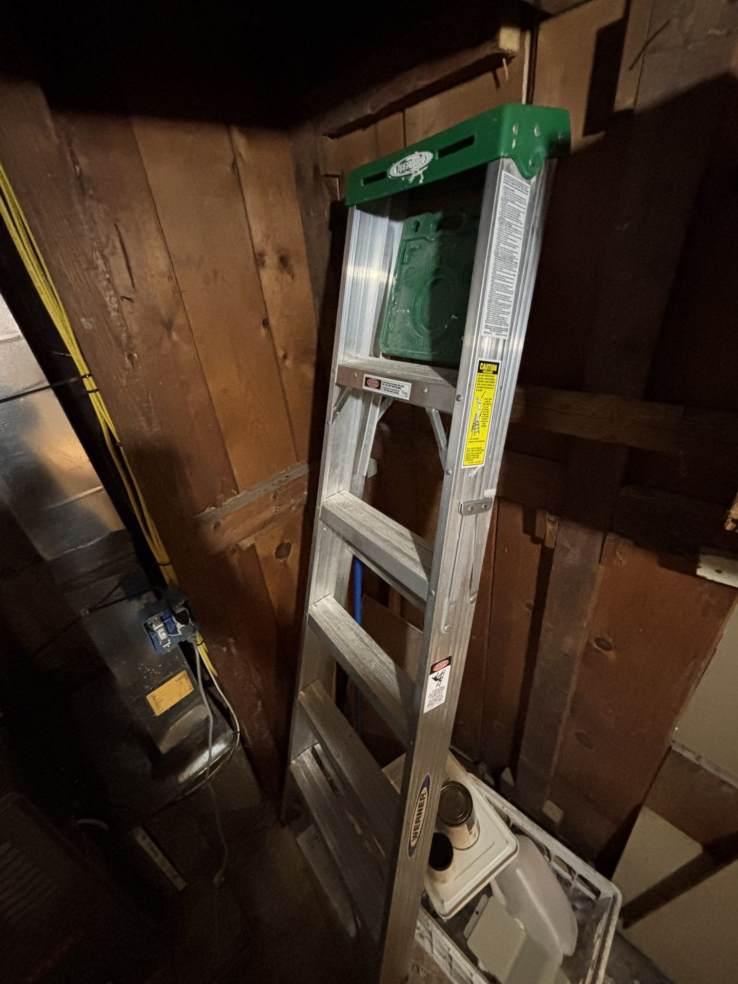 Werner Ladder 5’