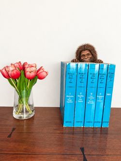 1973 Dictionary of the History of Ideas – Complete 5 Volume Vintage Set