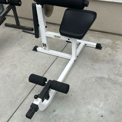 Back & Crunch Machine