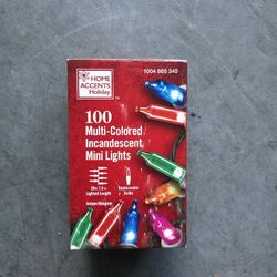 100 Multi-Colored Incandescent Mini String Led Lights – Indoor/Outdoor

