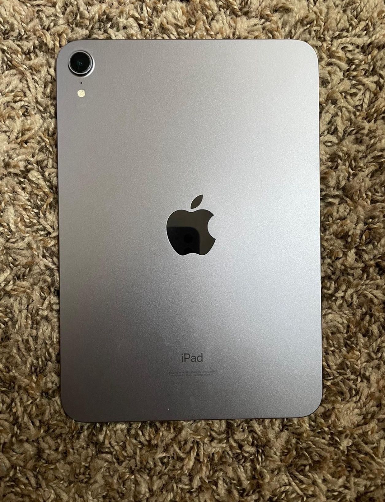 Purple iPad Mini 6