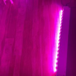 DJ World LED Light Color Pink/purple 