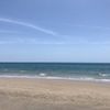 Sol