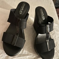 Charles David Shoes