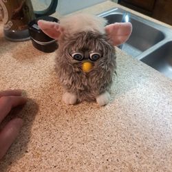 Furdy Owl