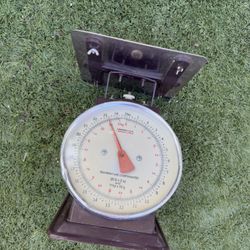 Large Commercial Scale Model? Temperature Compensated 25lb Read