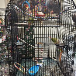 Bird Cage Large 