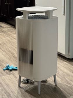 Blueair Dust Magnet Air Purifier