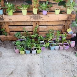 Plant Sale