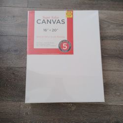 Pack Of 5 16x20" Canvases