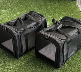 new pet carriers airlines approved price for each