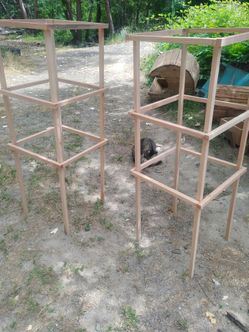 Tomato cages