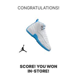 Jordan 12s