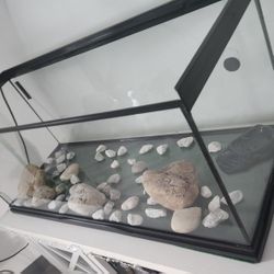 Terrarium 30in