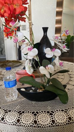 Orchid