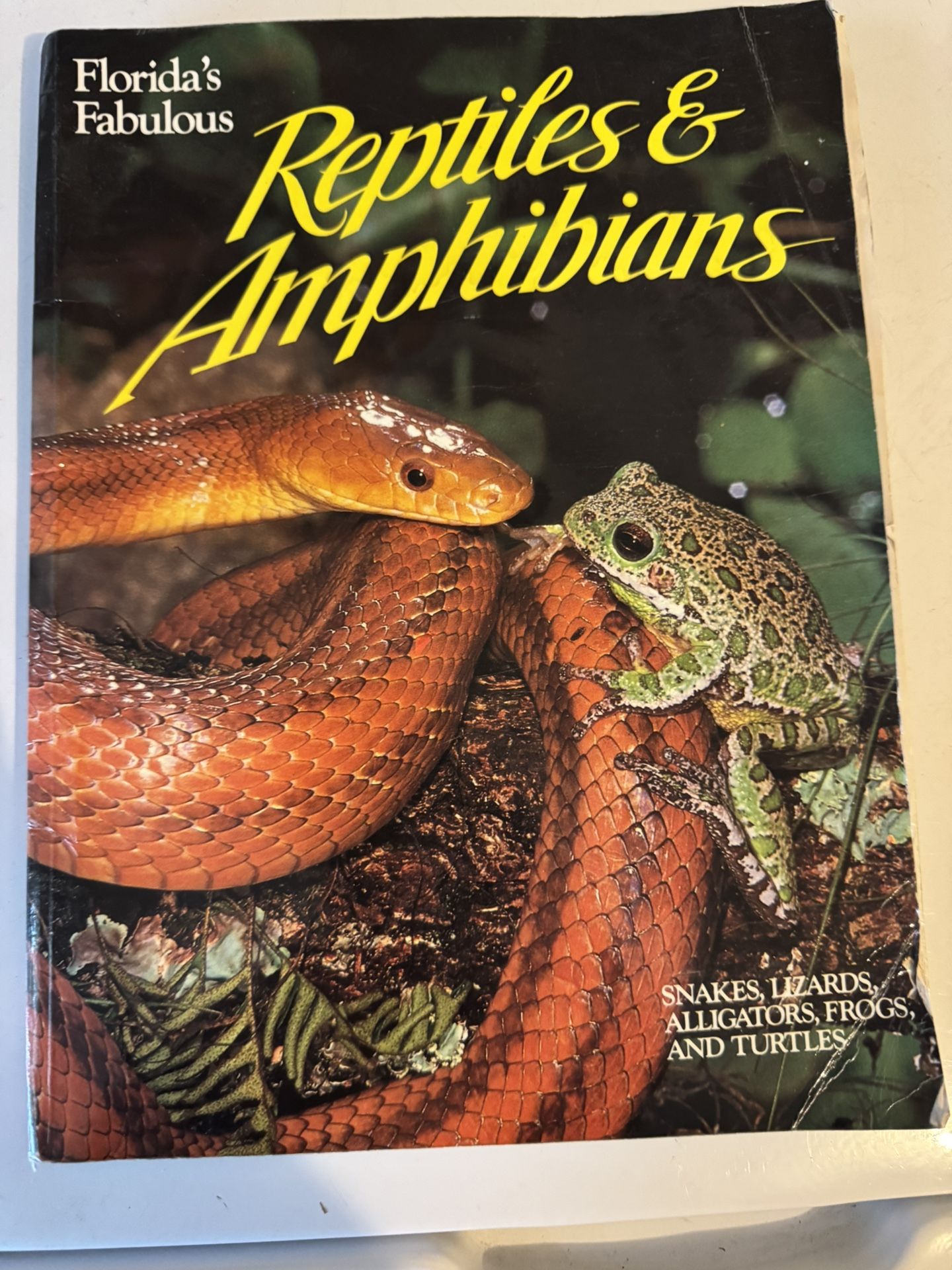 Florida’s book on reptiles and amphibians soft cover
