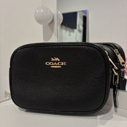 coach mini bag