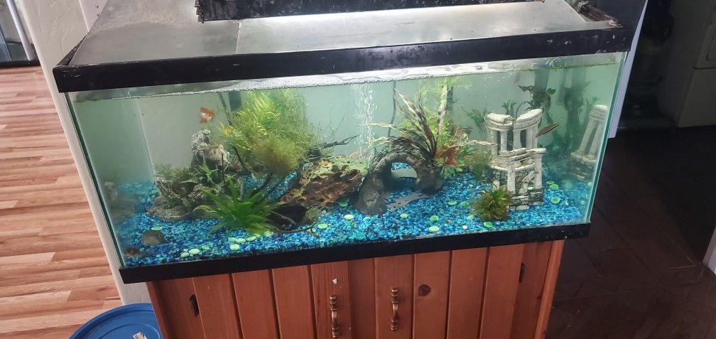 65 Gallon Fishtank