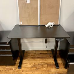 Electric Standing Desk (Used)