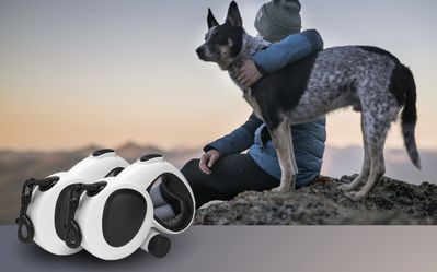 New In Box Dog Leash 