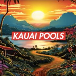 Pool Service and install