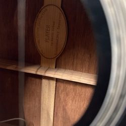 Acoustic Electric Guitar