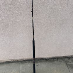 Seeker Black Steele Fishing Rod 