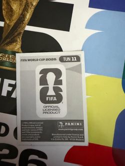 FIFA World Cup Green boarder Sticker Panini