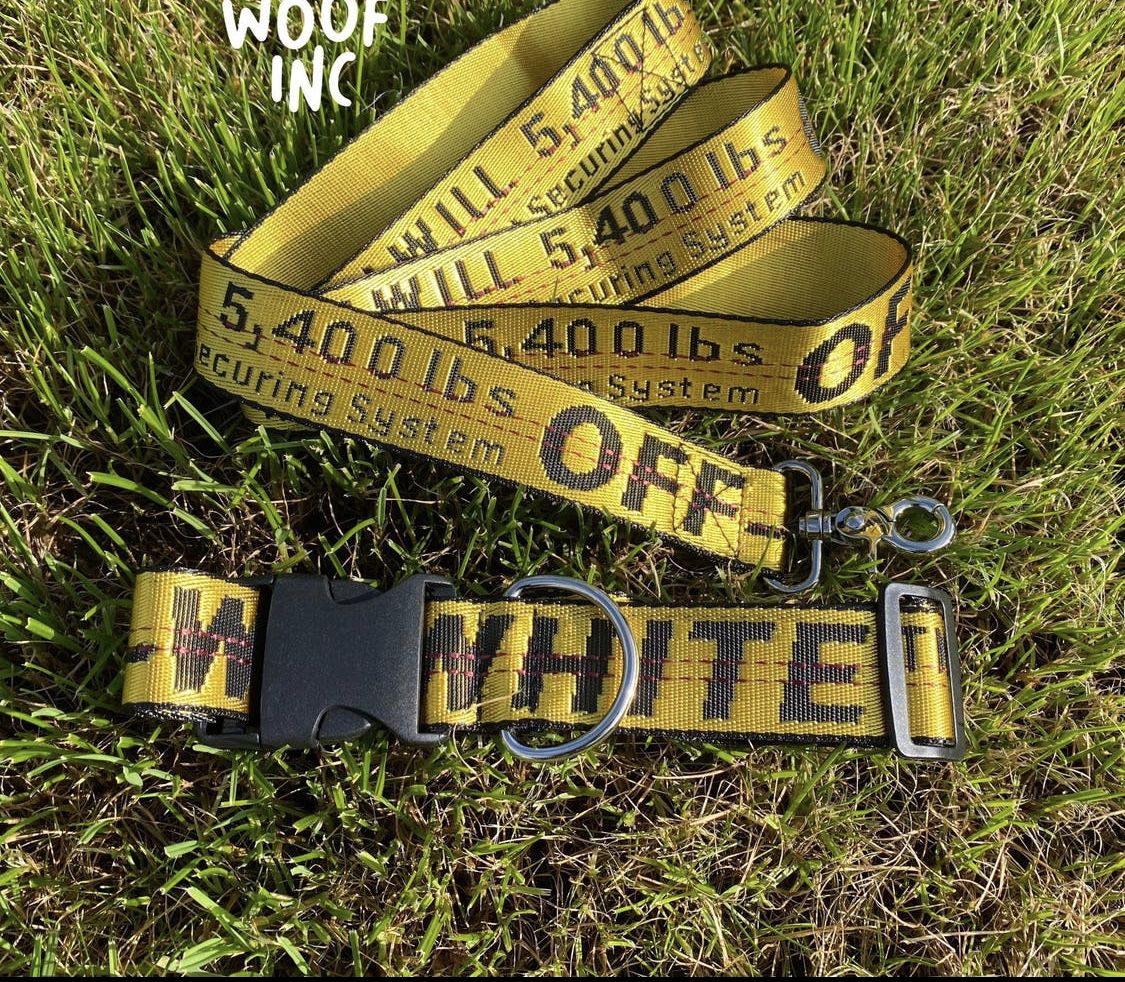 Off white dog collar and leash