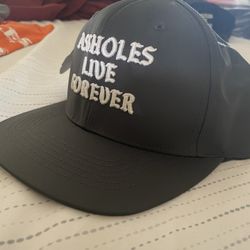 New Assholes Live Forever Hat