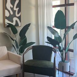 Artificial House Plants