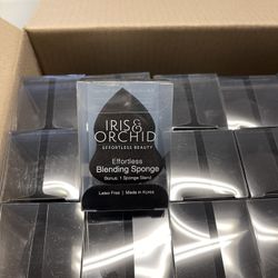 Beauty Blending Sponge