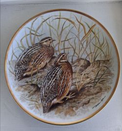 BIRD PLATE GAMEBIRD OF THE WORLD