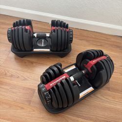 Bowflex Dumbbells 