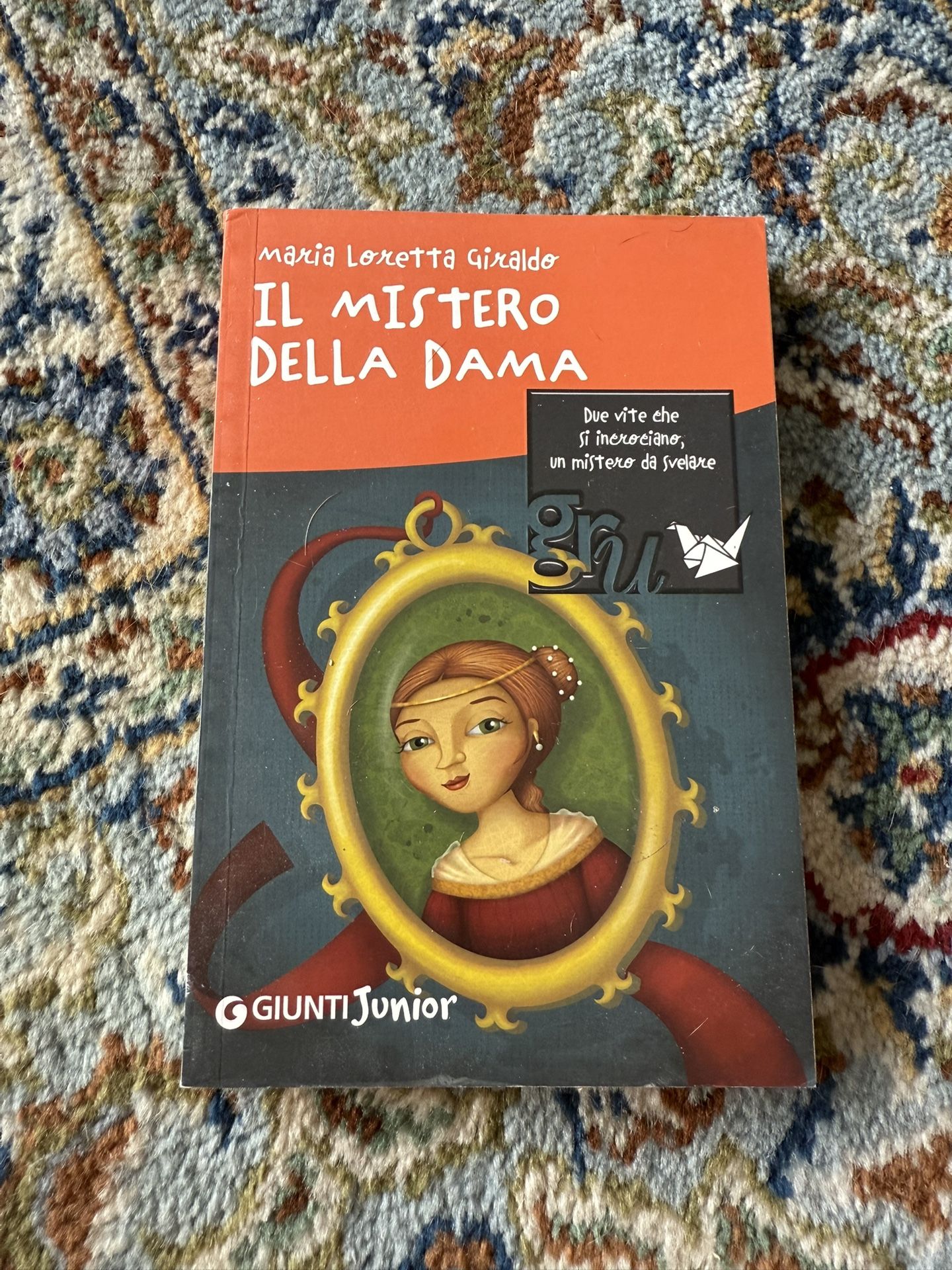 Book: Il Mistero Della Dama