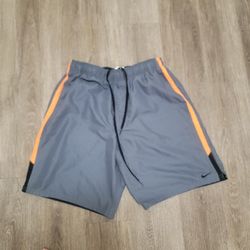 Nike Swimtrunks, Men's Size Large 