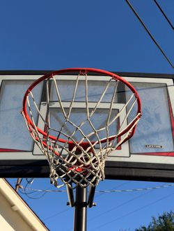 Lifetime basketball hoop