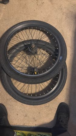 BMX Sunday everything compete
