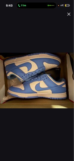 Dunks size 10