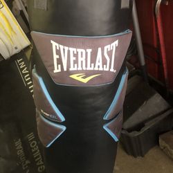 ever Last Punching BAG 