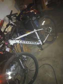 Cannondale Catalyst