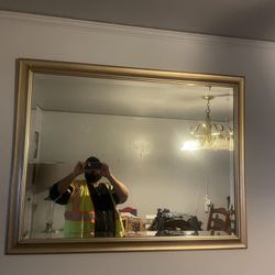 Living or Dining Room mirror